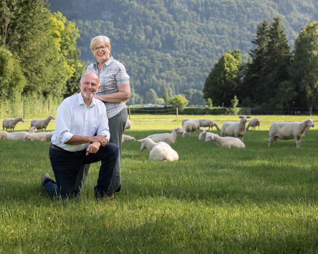 Zwei Personen auf einer Schafweide vor Bergkulisse